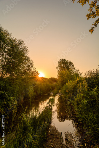 Waterlogged dirt road surrounded by green bushes and green trees  against an orange sunset sky with the sun hiding behind green trees.