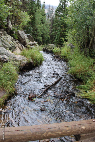 stream in the forest
