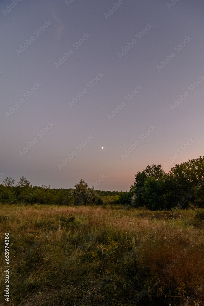 Yellow-green field with green trees in the background, against a blue sky with a small white moon in the center.