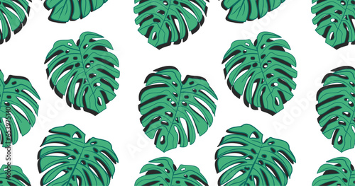 Palm tree leaf tropical summer background pattern  seamless 
