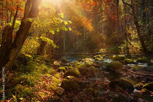 Fototapeta Naklejka Na Ścianę i Meble -  Autumn mountain river. Forest in october