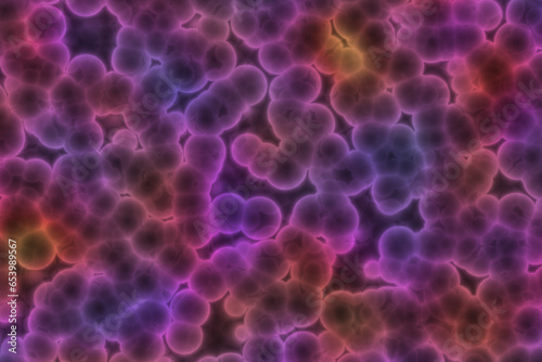Shape of bacterial cell: cocci, bacilli, spirilla bacteria
