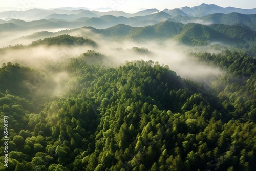 Aerial perspective of misty woodland in mountainous terrain. Generative AI © Haruki