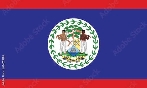  Flag of Belize photo