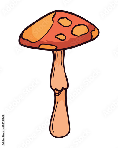 autumn nature fungus