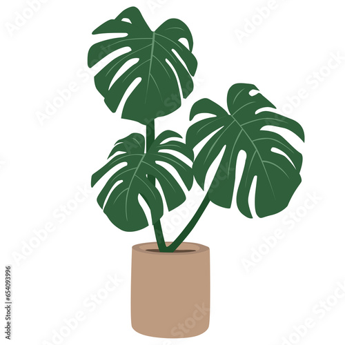 Beautiful Broad Leaf Plant vector for Home Decoration