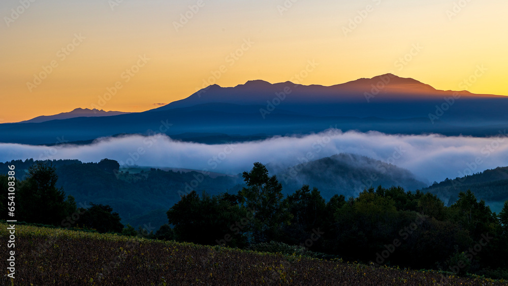 Obraz premium 雲海と旭岳のシルエット 北海道 美瑛 絶景