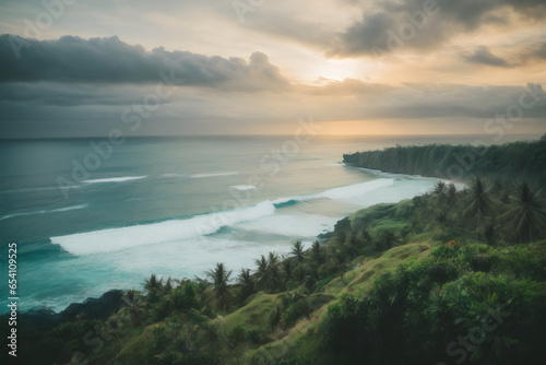 top view of the beach with plants on the hill