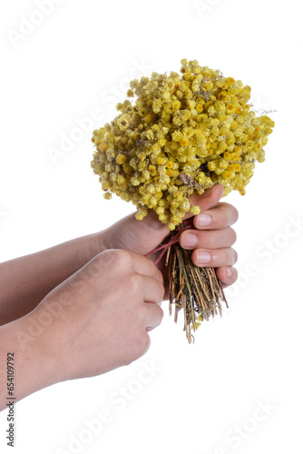 bunch of yellow flowers in hand
