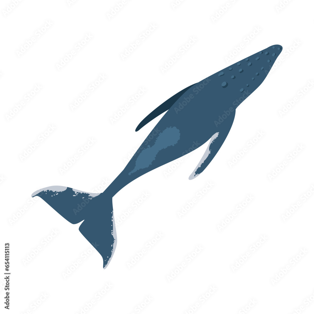 Obraz premium humpback sealife large