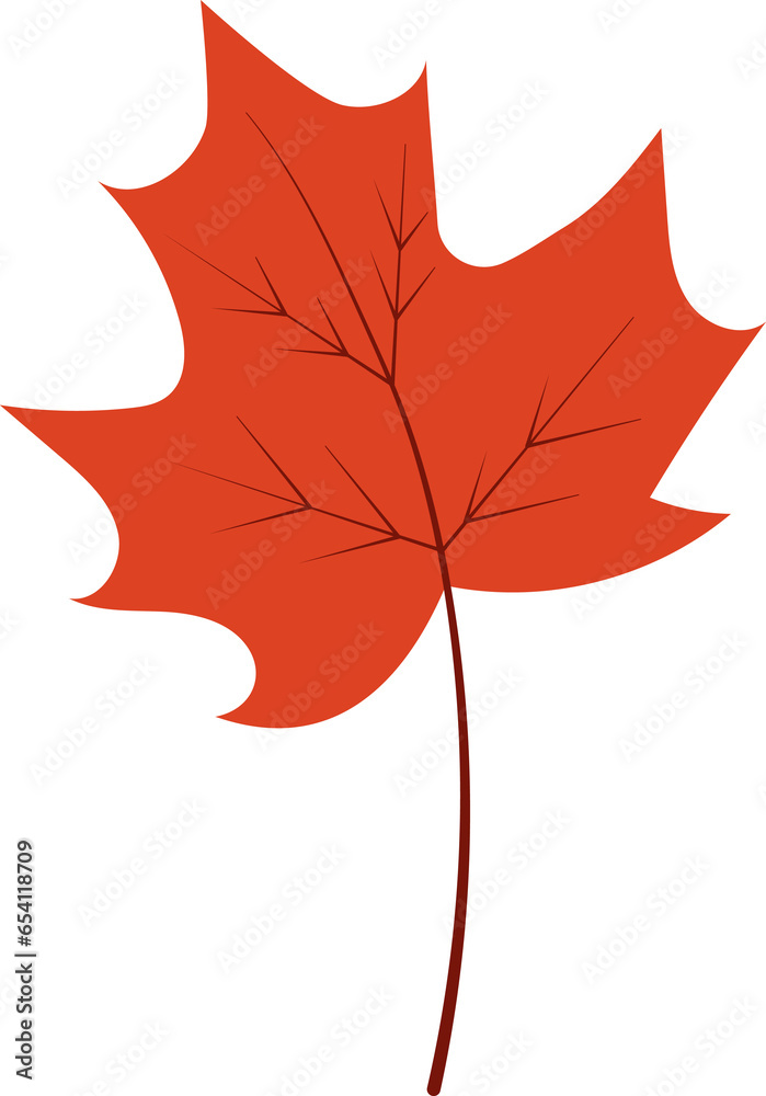 Obraz premium autumn leaf hand draw