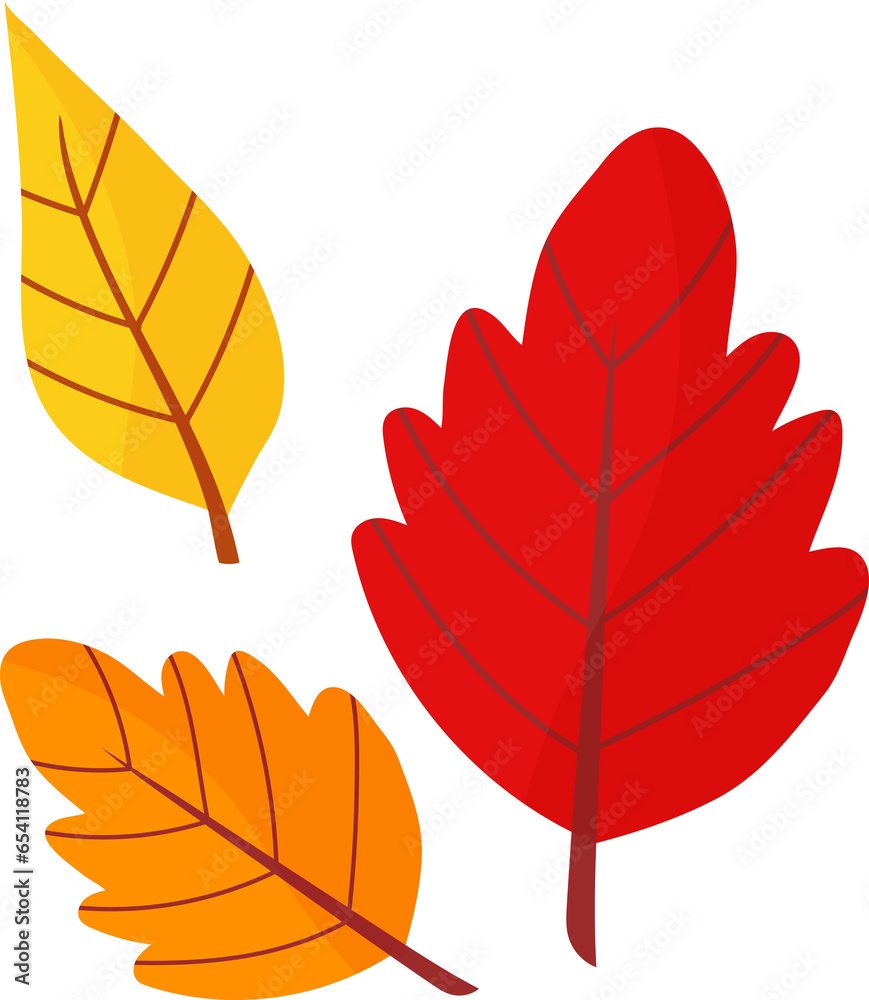 Fototapeta premium autumn leaf hand draw