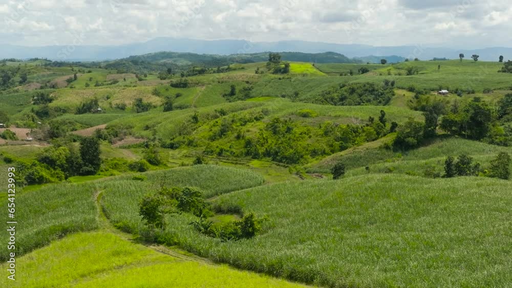 Plantations of sugar cane and agricultural land on the slopes of the hills. Negros, Philippines Plantations of sugar cane and agricultural land on the slopes of the hills. Negros, Philippines