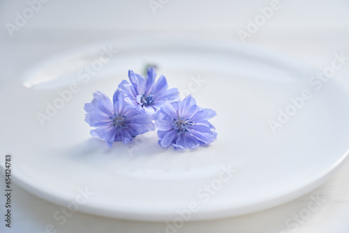 Selective focus on chicory flowers lying on a saucer  on a white background. Beautiful wild blue or purple flowers  Beautiful background  with space to copy. High quality photo