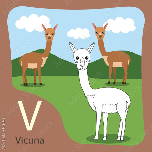 Illustration of vicuna isolated and coloring