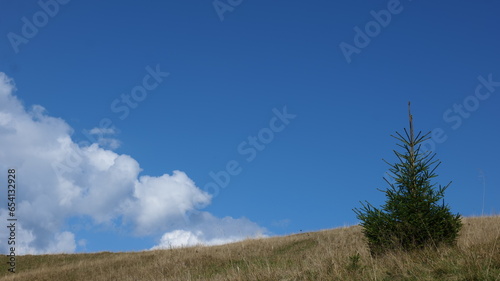 Autumn and Nature of the Carpathians