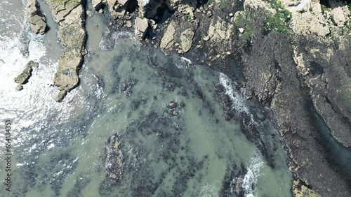 Aerial Drone UK Coastline. Shot from above looking directly down. Birds eye view of grass cliff tops shore sea coast coastline and waves seagull North East England Marsden Sunderland Newcastle 4k photo
