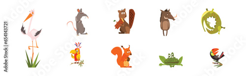Funny Animal and Comic Creature Character Vector Set