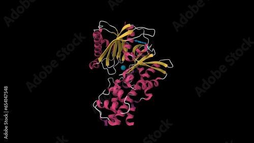 Human glucokinase in complex with novel amino thiazole activator. Animated 3D cartoon model and Gaussian surface , secondary structure color scheme, PDB 4mle, black background photo
