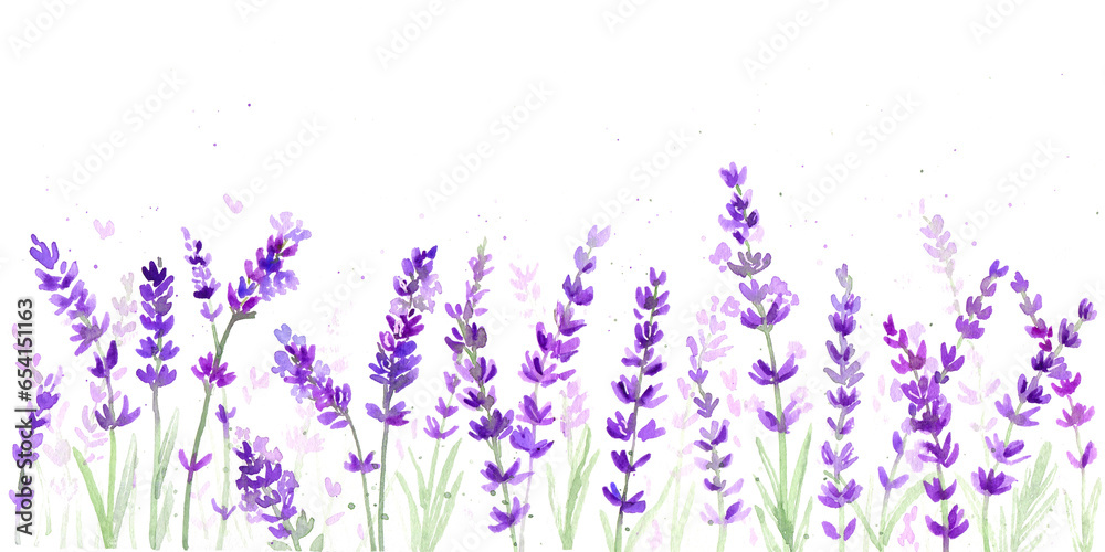 Watercolor lavender illustration for banner and poscard. Botanical elegant frame for invitation in provence style