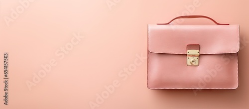 Office supplies such as a bag clip made of brass isolated pastel background Copy space