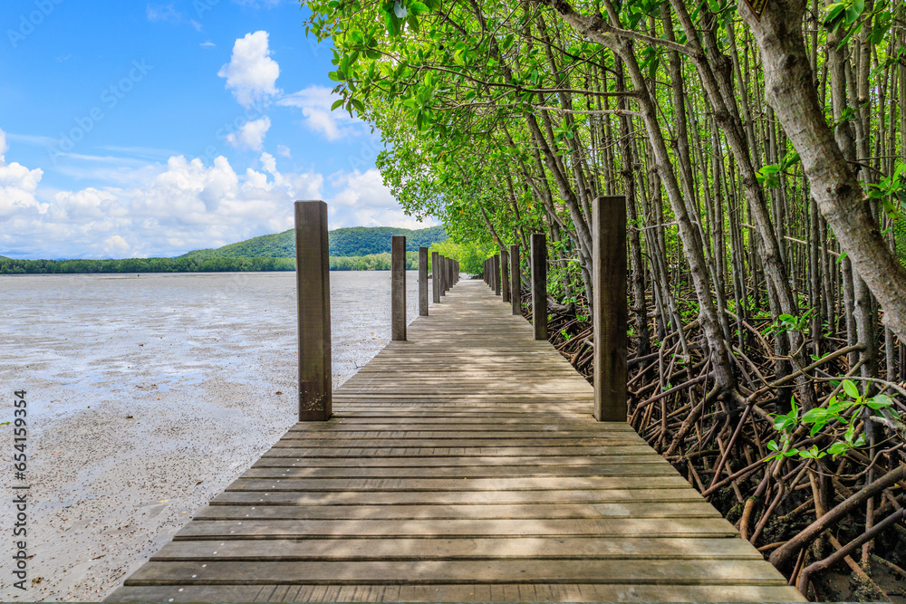 Wood path way among the Mangrove forest,bangkok Thailand.