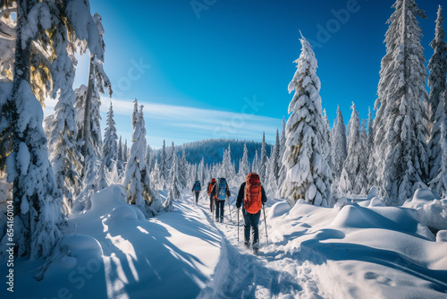 snowshoers trekking through a winter wonderland, with snow-laden trees and a clear blue sky photo