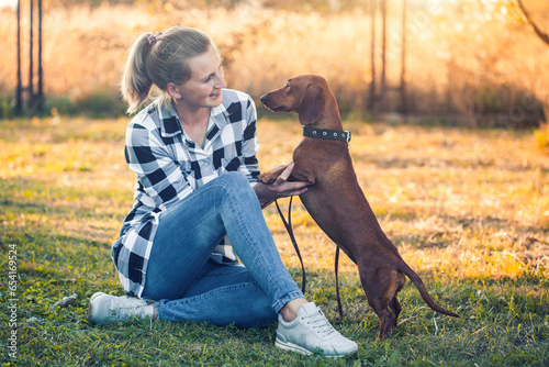 dachshundplaying with his owner in a sunny summer park photo