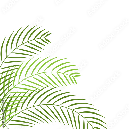 Palm Leaves Corner