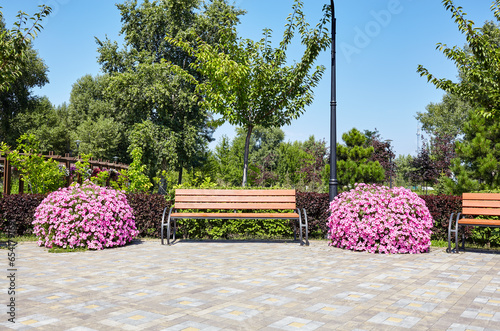 Fototapeta Naklejka Na Ścianę i Meble -  Rest area with bench surrounded by blooming Petunia flowers in Kyiv, Europe. Place to rest in the city park