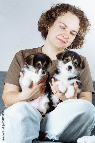 Portrait of pleasant young woman owner holding two little black white puppies of dog welsh pembroke corgi on hands.
