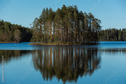 Beautiful symmetrical pine island with reflection in the lake.