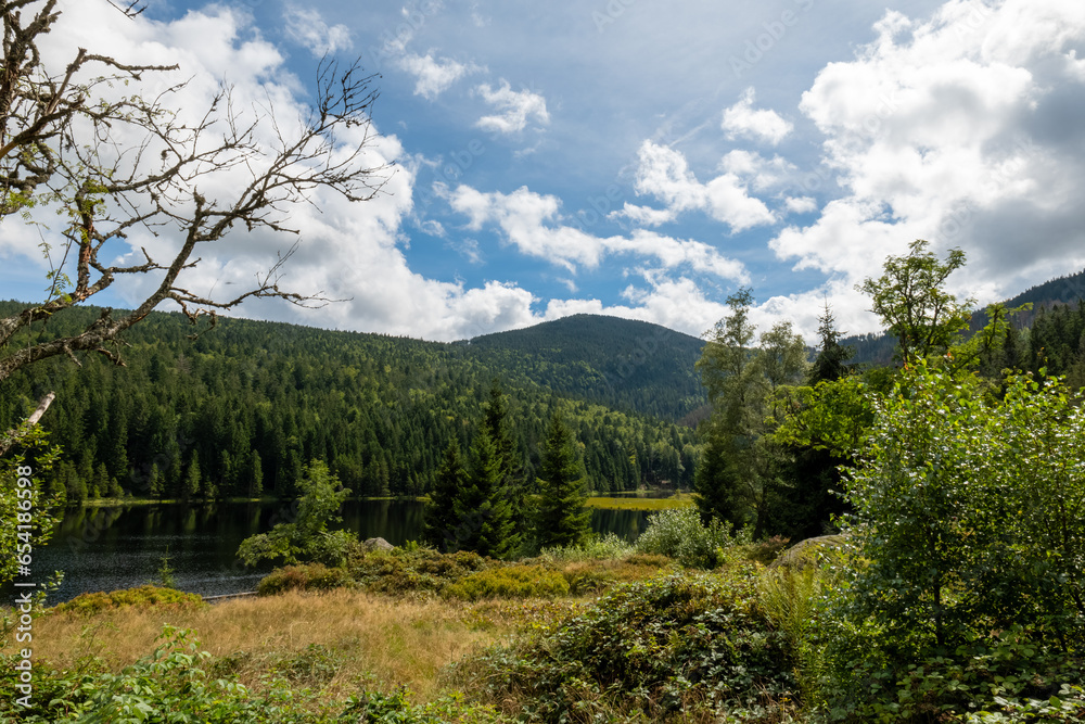 tranquil blue lake surrounded by forest trees