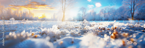 Beautiful winter morning landscape banner background with snow  sunrays and bokeh  outdoor.