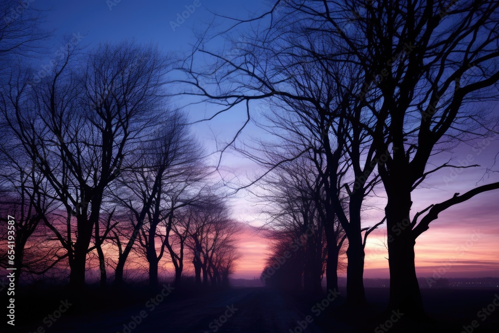 trees silhouetted against a chilled dawn sky trees silhouetted against a chilled dawn sky
