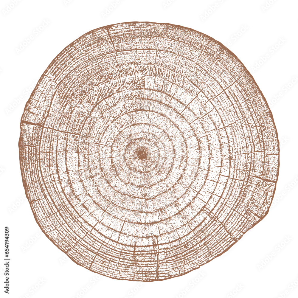 Wood texture cross section of tree rings. Cut slice of wooden stump isolated on white. Textured surface with rings and cracks. Brown background made of hardwood from the forest. Vector illustration.