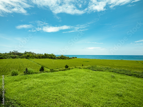 The Scenery of Grasslands and Seashores
