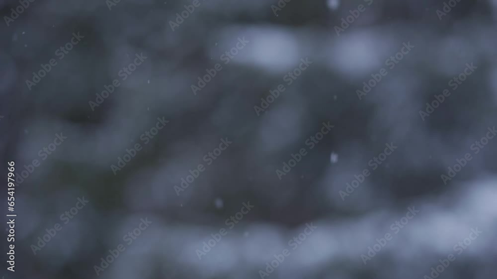 snow falling during the night snow falling during the night