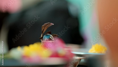 Close up of hand offering rice during Indian wedding puja. Handheld photo