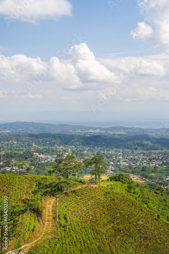 Slopes of the Gunung Lawu Volcano, Java, Indonesia