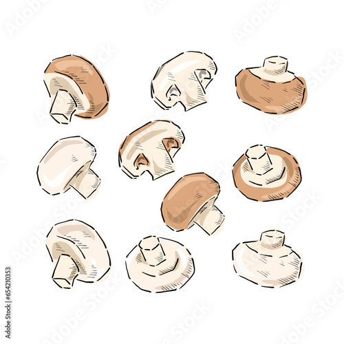 set of button mushroom drawing vector
