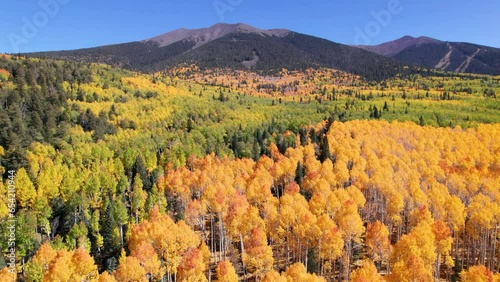 Humphrey's Peak in Flagstaff Arizona photo