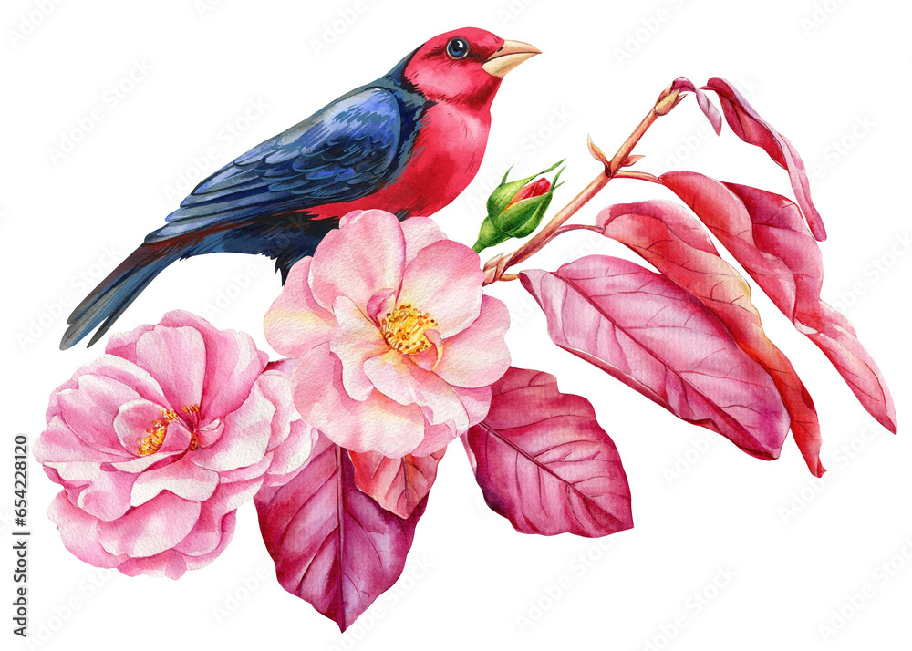 Beautiful bird sitting on a branch with roses flowers on an isolated white background, watercolor botanical illustration