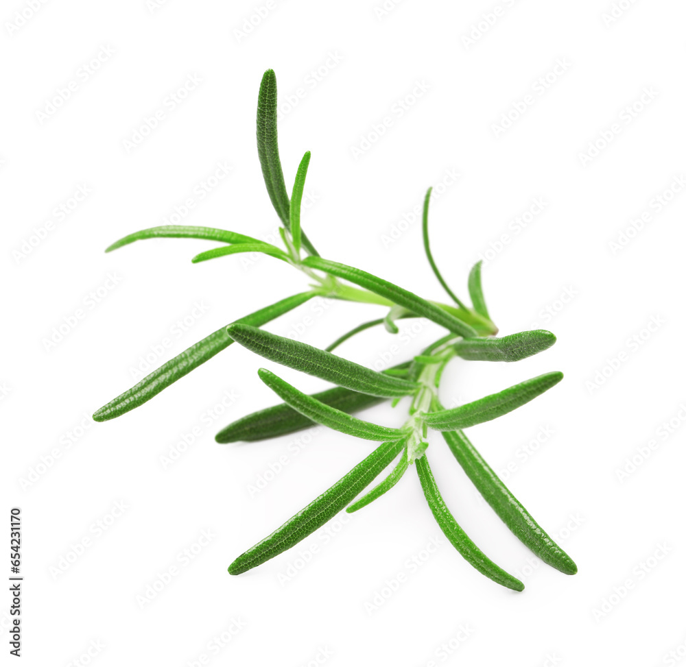 Sprig of fresh rosemary isolated on white Sprig of fresh rosemary isolated on white