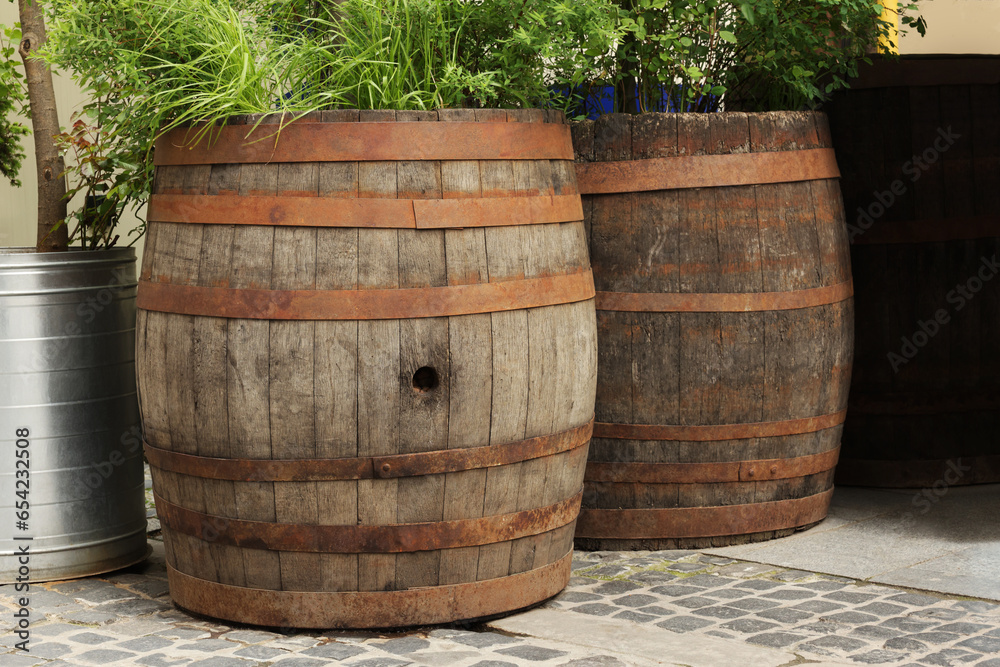 Traditional wooden barrels and green plants outdoors Traditional wooden barrels and green plants outdoors