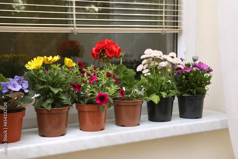 Different beautiful potted flowers on windowsill indoors