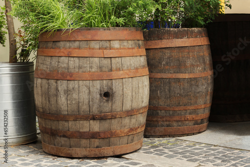 Traditional wooden barrels and green plants outdoors
