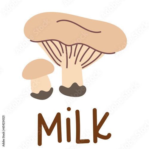 Colorful wild edible milk with cartoon-style names. Isolated vector flat illustration. White bunch mushroom. Edible mushrooms in the forests are large and small, completely light, plates, growing