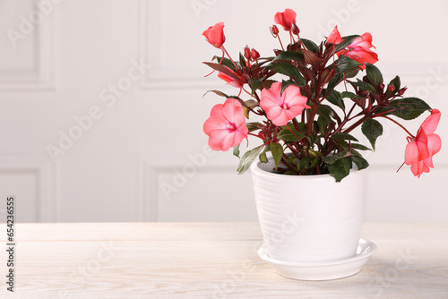 Bild auf Leinwand Beautiful impatiens flower in pot on white wooden table near light wall, space f