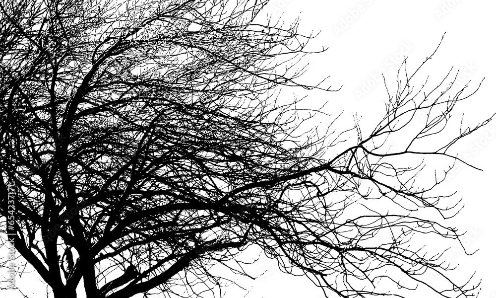 silhouette dead tree vector background silhouette dead tree vector background